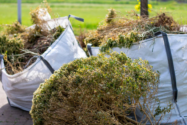 Best Affordable Junk Removal Services  in Elk Grove Vlage, IL