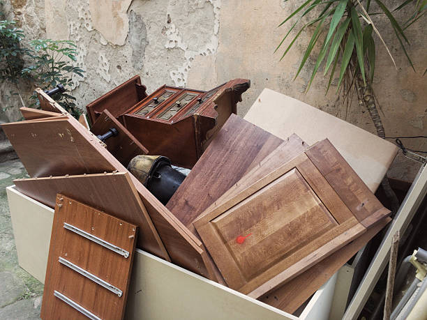 Best Attic Cleanout Services  in Elk Grove Vlage, IL